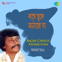 Bou Amar Vote Danriyechhe