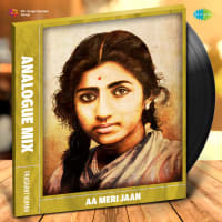 Aa Meri Jaan - Analogue Mix