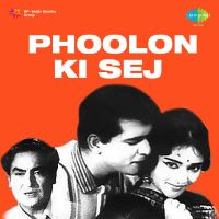 Taron Ki Ankhon Ka Tara Hai Tu