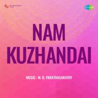 Paalaivanameethinile