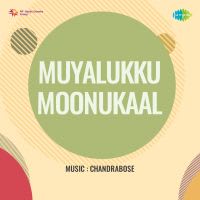 Top Albums by Artistes