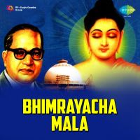Top Albums by Artistes