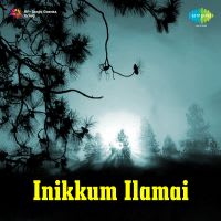 Anjaru Vayasu