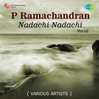 Vallabha Nayakasya