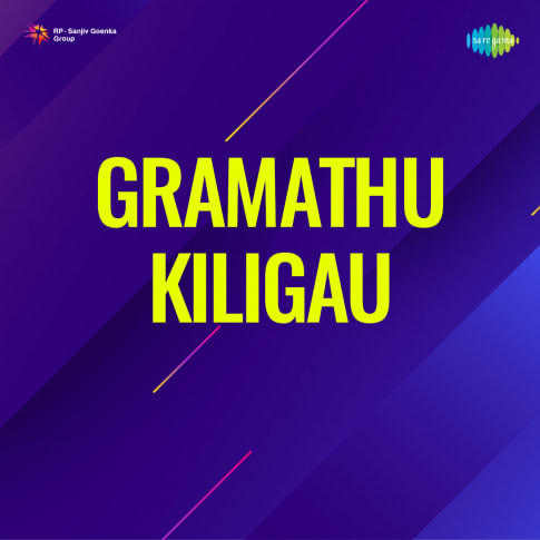 Album Blurred Banner Image