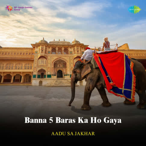 Album Blurred Banner Image