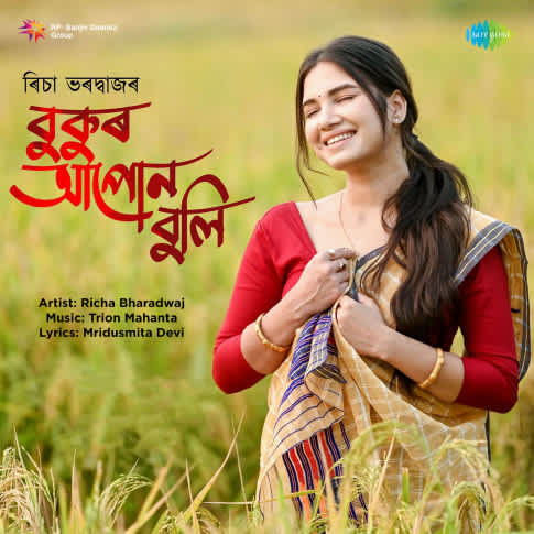 Album Blurred Banner Image