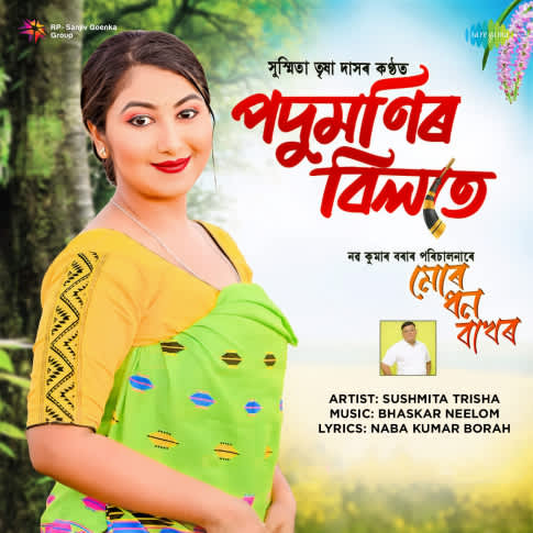 Album Blurred Banner Image