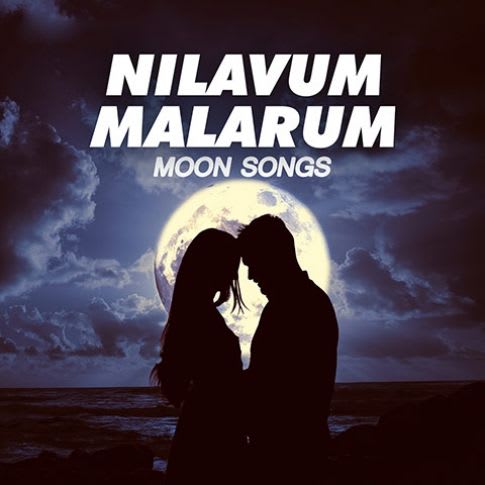 Album Blurred Banner Image