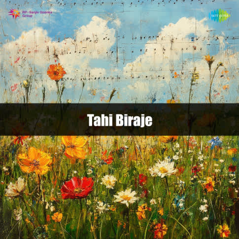 Album Blurred Banner Image