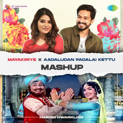 Album Blurred Banner Image