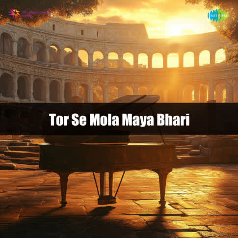 Album Blurred Banner Image