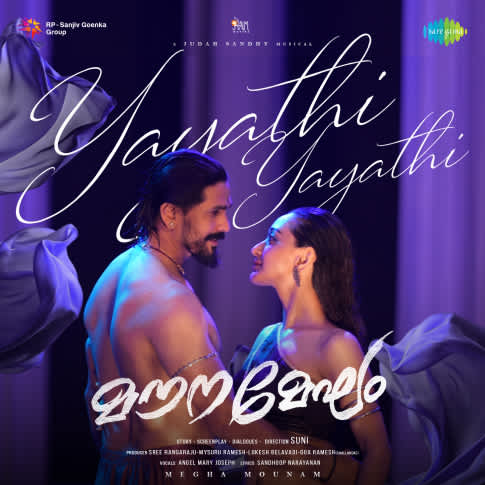 Album Blurred Banner Image