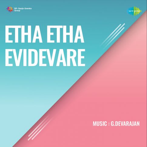 Album Blurred Banner Image