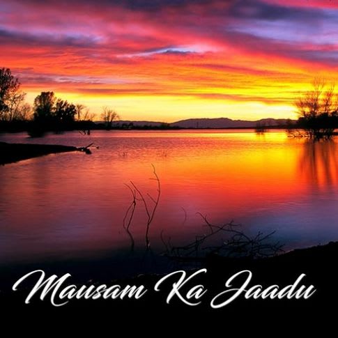 Album Blurred Banner Image