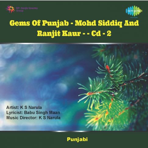 Album Blurred Banner Image