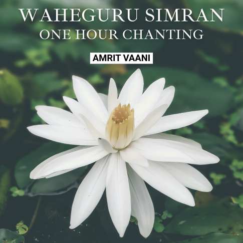 Album Blurred Banner Image