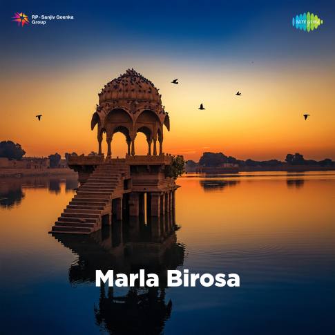 Album Blurred Banner Image