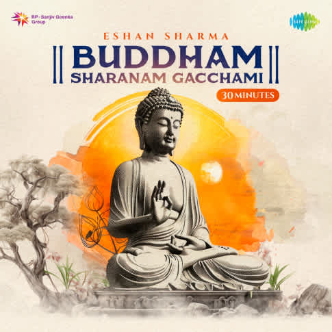 Album Blurred Banner Image