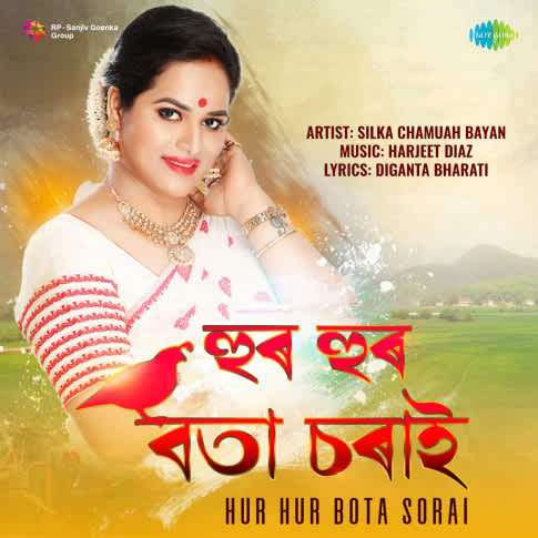 Album Blurred Banner Image