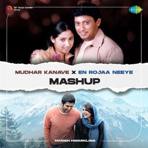 Album Blurred Banner Image