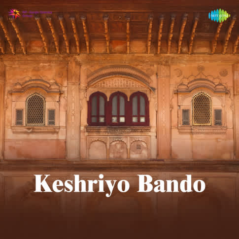 Album Blurred Banner Image