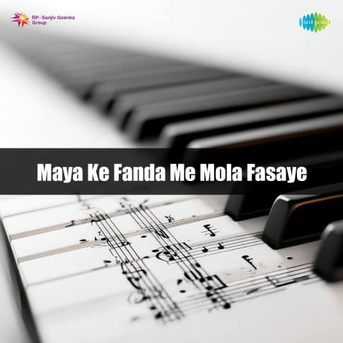 Album Blurred Banner Image