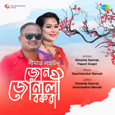 Album Blurred Banner Image