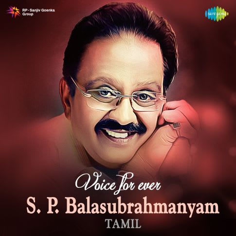 Album Blurred Banner Image