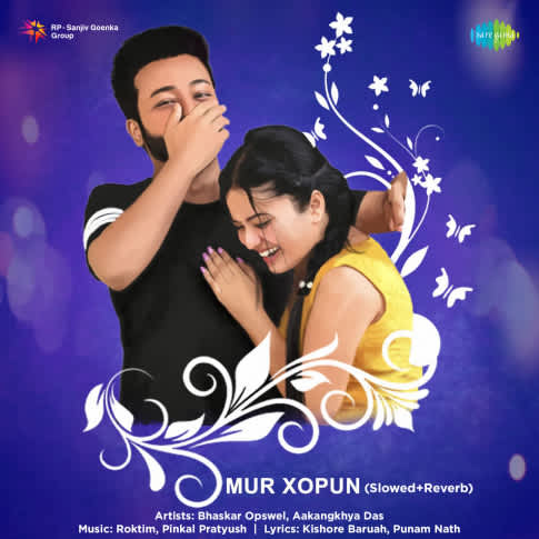 Album Blurred Banner Image