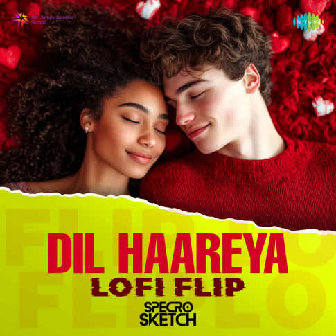 Album Blurred Banner Image