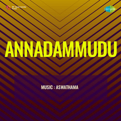 Album Blurred Banner Image