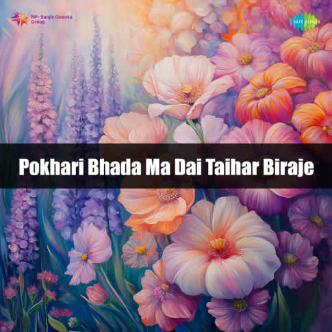 Album Blurred Banner Image