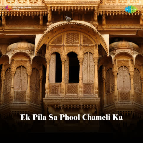 Album Blurred Banner Image