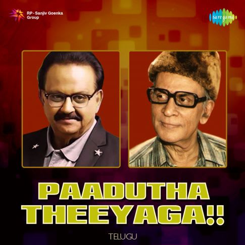 Album Blurred Banner Image