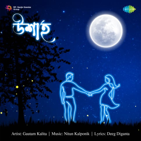 Album Blurred Banner Image