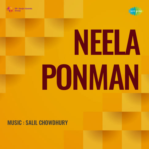 Album Blurred Banner Image