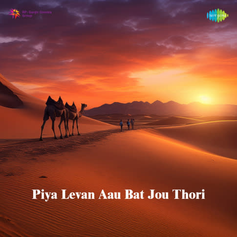 Album Blurred Banner Image