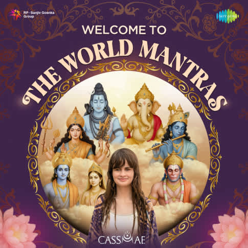 Album Blurred Banner Image