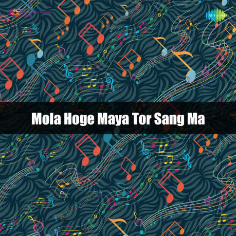 Album Blurred Banner Image