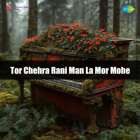 Album Blurred Banner Image