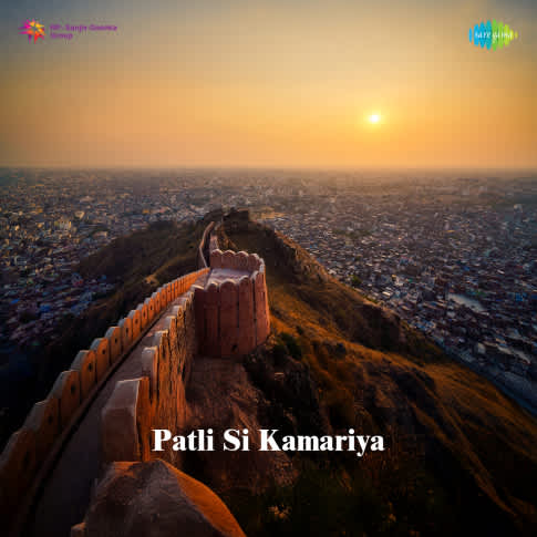 Album Blurred Banner Image