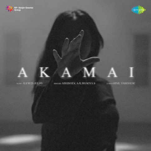 Album Blurred Banner Image