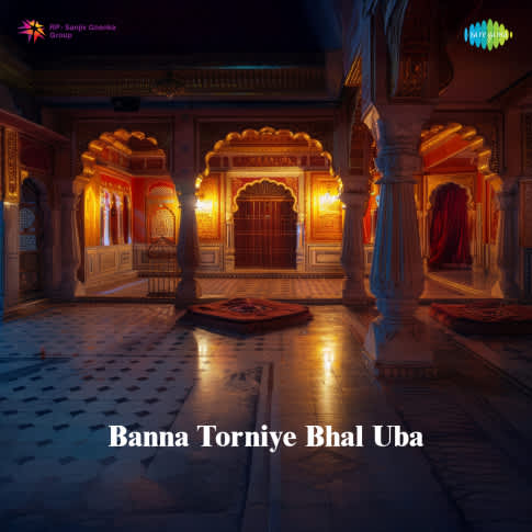 Album Blurred Banner Image