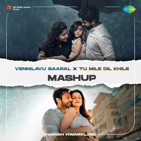 Album Blurred Banner Image