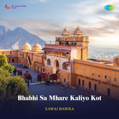 Album Blurred Banner Image