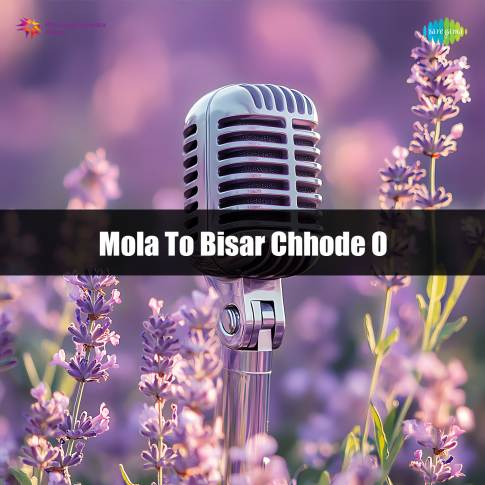 Album Blurred Banner Image