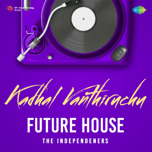 Album Blurred Banner Image