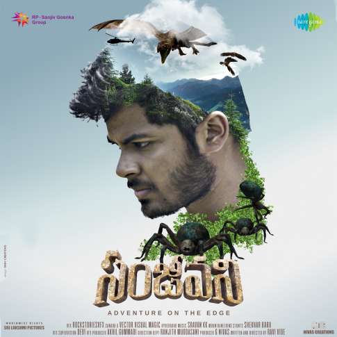 Album Blurred Banner Image