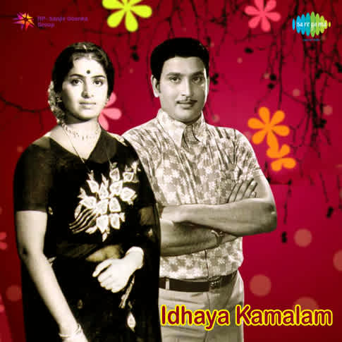 Album Blurred Banner Image